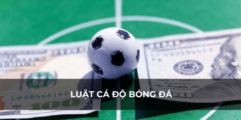 Luật cá độ bóng đá