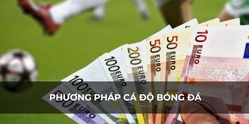 Phương pháp cá độ bóng đá